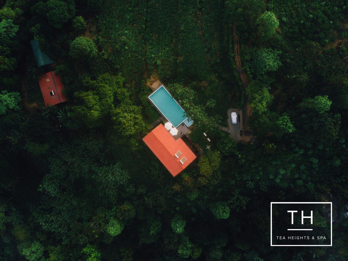 Tea Heights Kandy Exterior foto